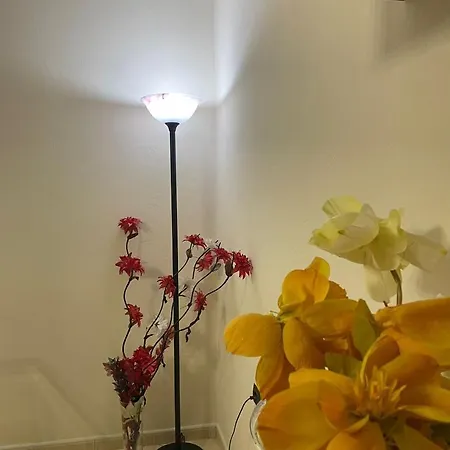 Aras Apartament Appartamento *